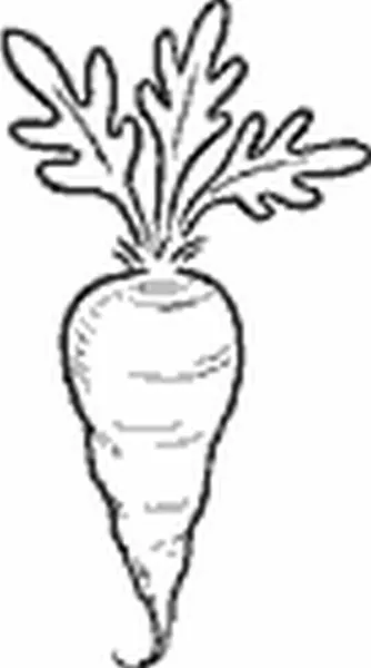 Carota - Rubber Stamp - Impronte D'Autore