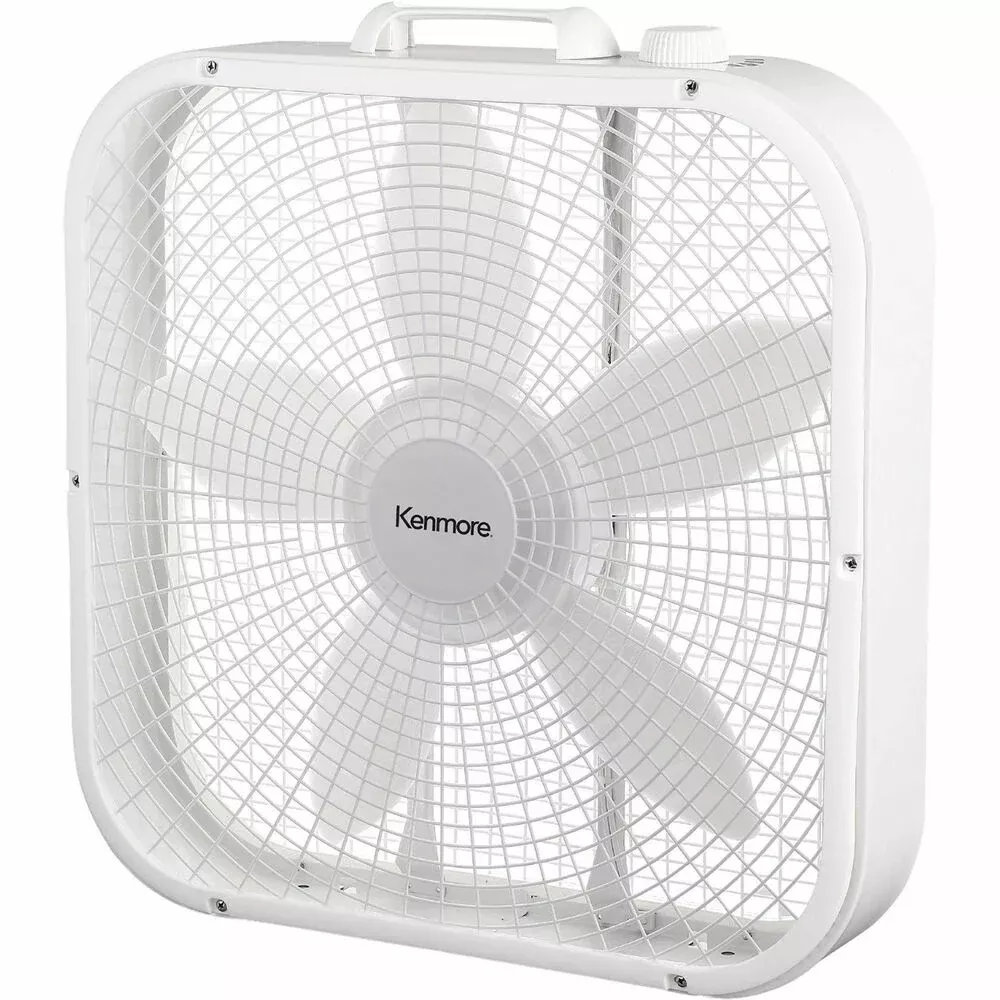 ESM Fan,Box,3 Speeds,20",WE