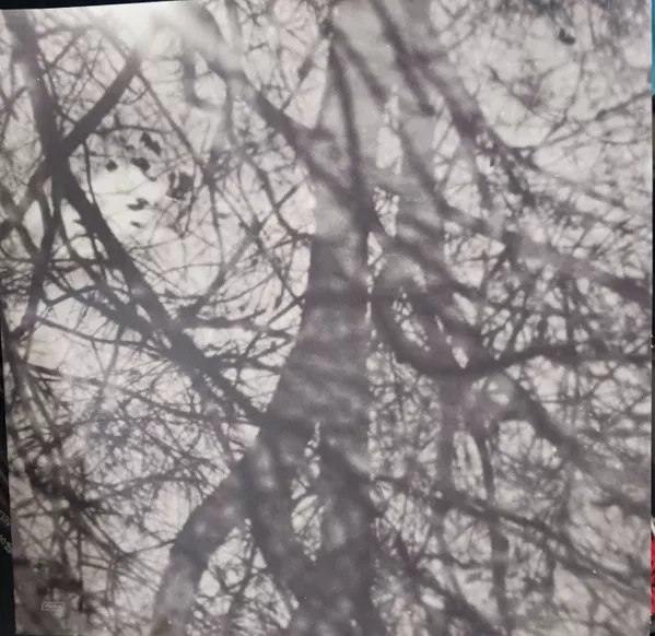 Grouper - Way Their Crept (LP, Album, RE)